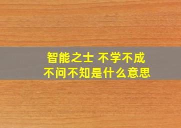 智能之士 不学不成 不问不知是什么意思