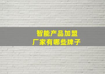 智能产品加盟厂家有哪些牌子