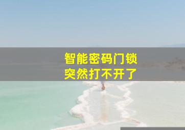 智能密码门锁突然打不开了