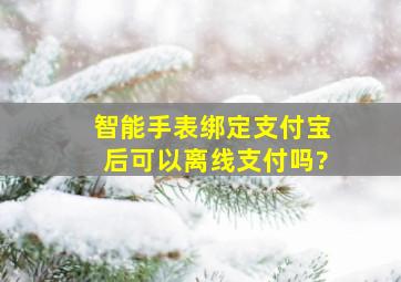 智能手表绑定支付宝后可以离线支付吗?