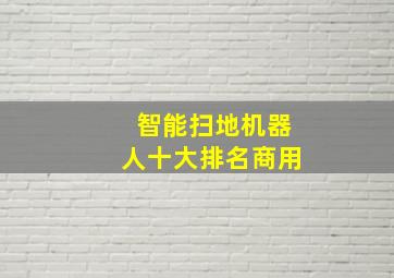 智能扫地机器人十大排名商用