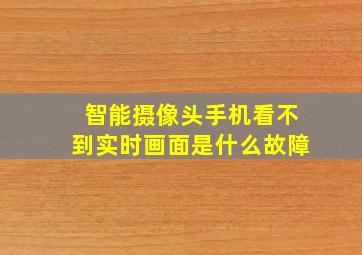 智能摄像头手机看不到实时画面是什么故障