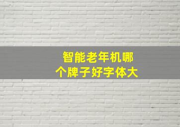 智能老年机哪个牌子好字体大