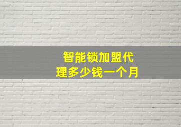 智能锁加盟代理多少钱一个月