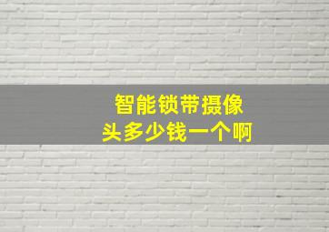 智能锁带摄像头多少钱一个啊