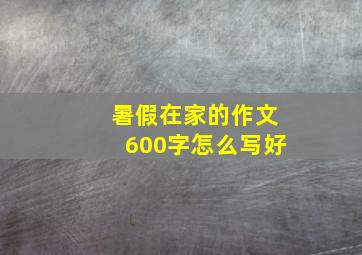 暑假在家的作文600字怎么写好