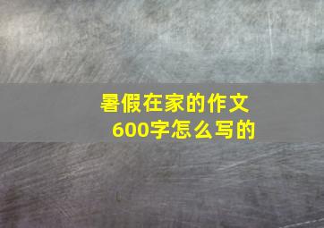 暑假在家的作文600字怎么写的