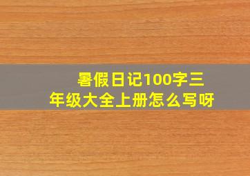 暑假日记100字三年级大全上册怎么写呀