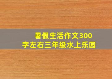 暑假生活作文300字左右三年级水上乐园