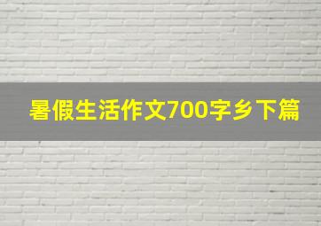 暑假生活作文700字乡下篇