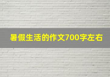 暑假生活的作文700字左右