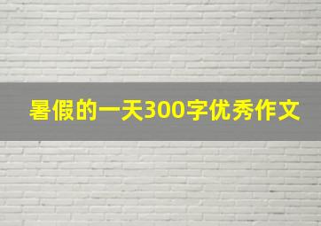 暑假的一天300字优秀作文