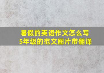 暑假的英语作文怎么写5年级的范文图片带翻译