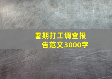 暑期打工调查报告范文3000字