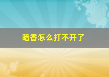 暗香怎么打不开了