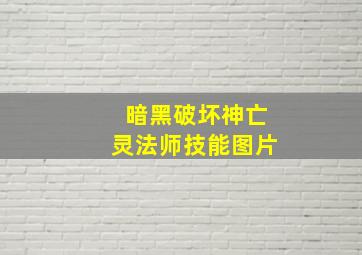 暗黑破坏神亡灵法师技能图片