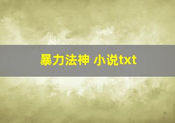 暴力法神 小说txt