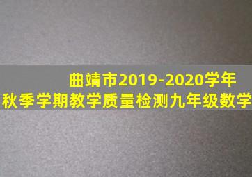 曲靖市2019-2020学年秋季学期教学质量检测九年级数学