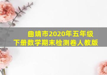 曲靖市2020年五年级下册数学期末检测卷人教版