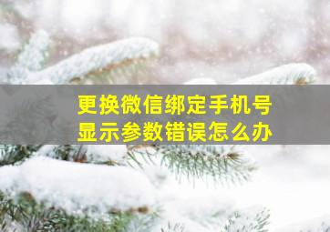 更换微信绑定手机号显示参数错误怎么办