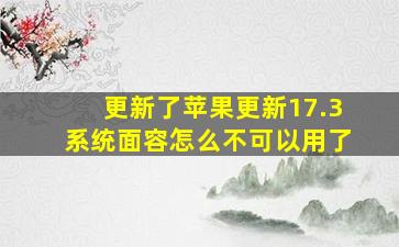 更新了苹果更新17.3系统面容怎么不可以用了