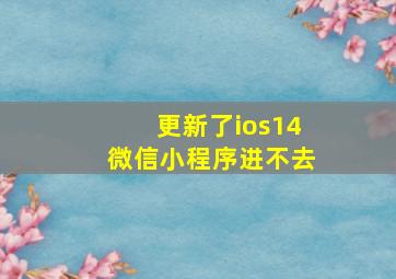 更新了ios14微信小程序进不去