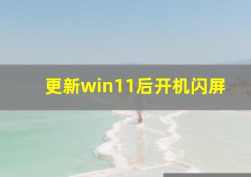 更新win11后开机闪屏