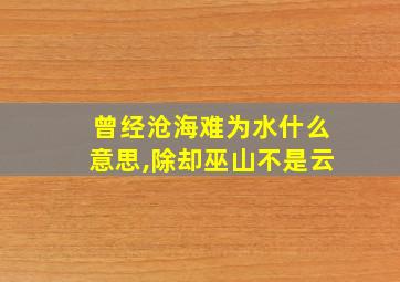 曾经沧海难为水什么意思,除却巫山不是云