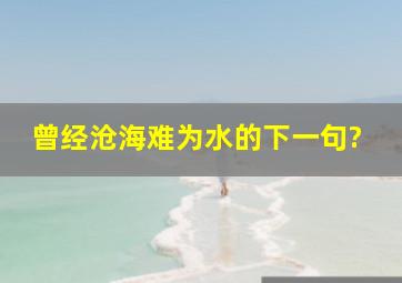 曾经沧海难为水的下一句?