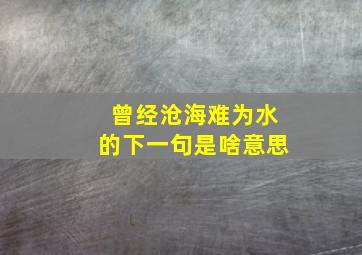 曾经沧海难为水的下一句是啥意思