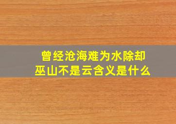 曾经沧海难为水除却巫山不是云含义是什么