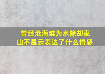 曾经沧海难为水除却巫山不是云表达了什么情感