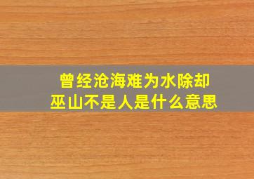 曾经沧海难为水除却巫山不是人是什么意思