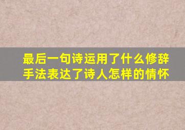 最后一句诗运用了什么修辞手法表达了诗人怎样的情怀