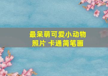 最呆萌可爱小动物照片 卡通简笔画