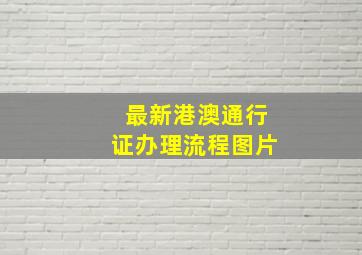 最新港澳通行证办理流程图片