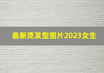 最新烫发型图片2023女生