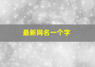 最新网名一个字