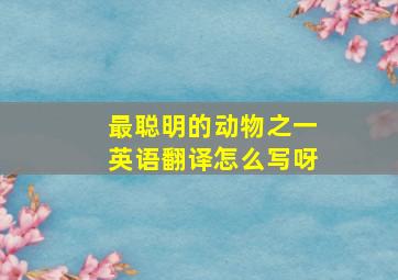 最聪明的动物之一英语翻译怎么写呀