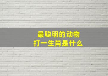 最聪明的动物打一生肖是什么