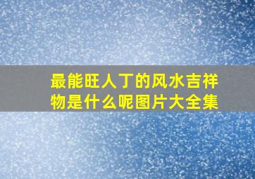 最能旺人丁的风水吉祥物是什么呢图片大全集