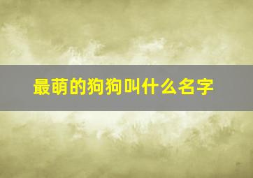 最萌的狗狗叫什么名字