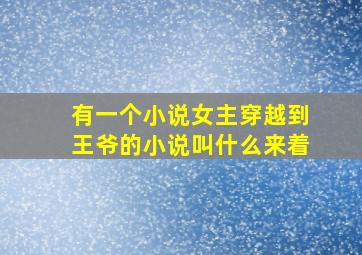 有一个小说女主穿越到王爷的小说叫什么来着