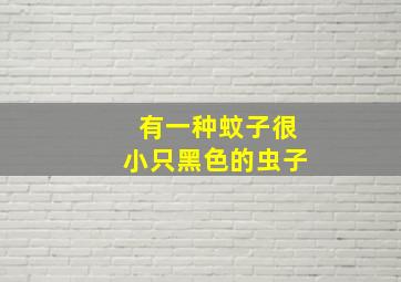 有一种蚊子很小只黑色的虫子