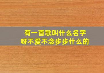 有一首歌叫什么名字呀不爱不念步步什么的