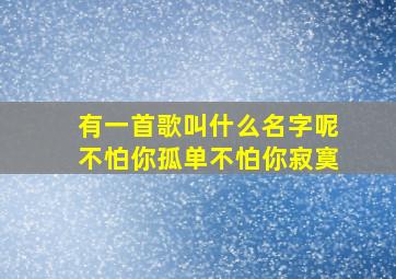 有一首歌叫什么名字呢不怕你孤单不怕你寂寞