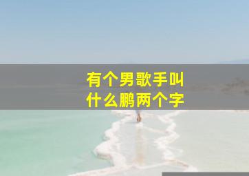 有个男歌手叫什么鹏两个字