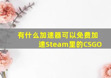 有什么加速器可以免费加速Steam里的CSGO