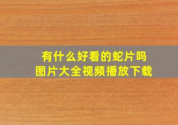 有什么好看的蛇片吗图片大全视频播放下载