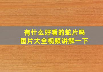 有什么好看的蛇片吗图片大全视频讲解一下